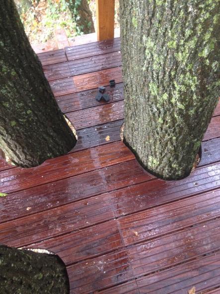 Terrassen-Dielen eines Baumhauses